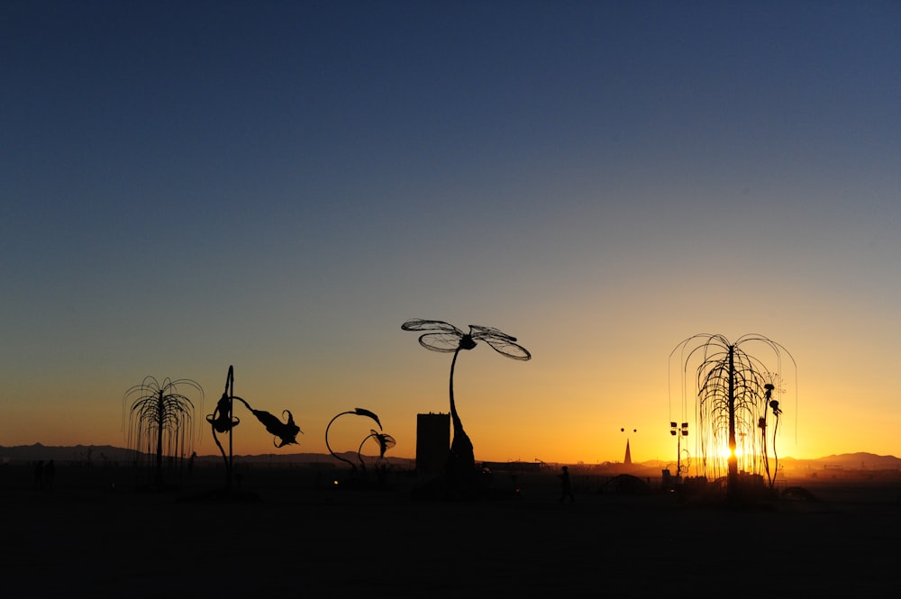 silhouette of person standing on grass field during sunset