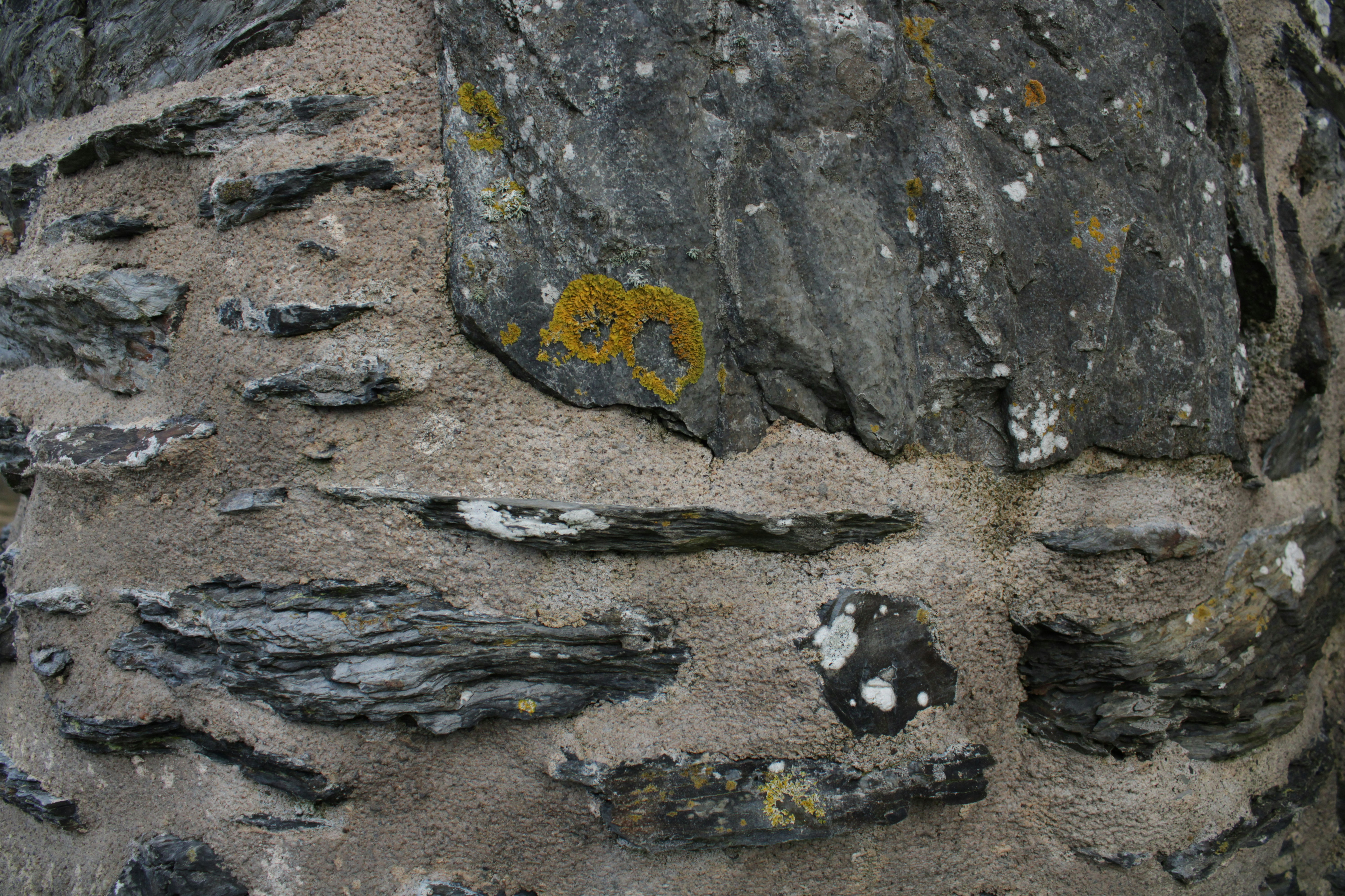 Photo by jacekkuzemczak