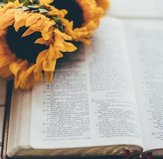 yellow flower on book page