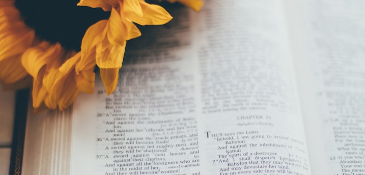 yellow flower on book page