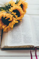 yellow flower on book page