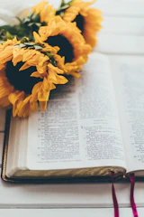 yellow flower on book page