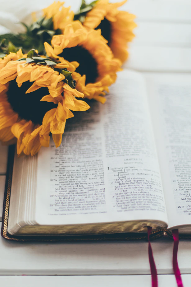 yellow flower on book page