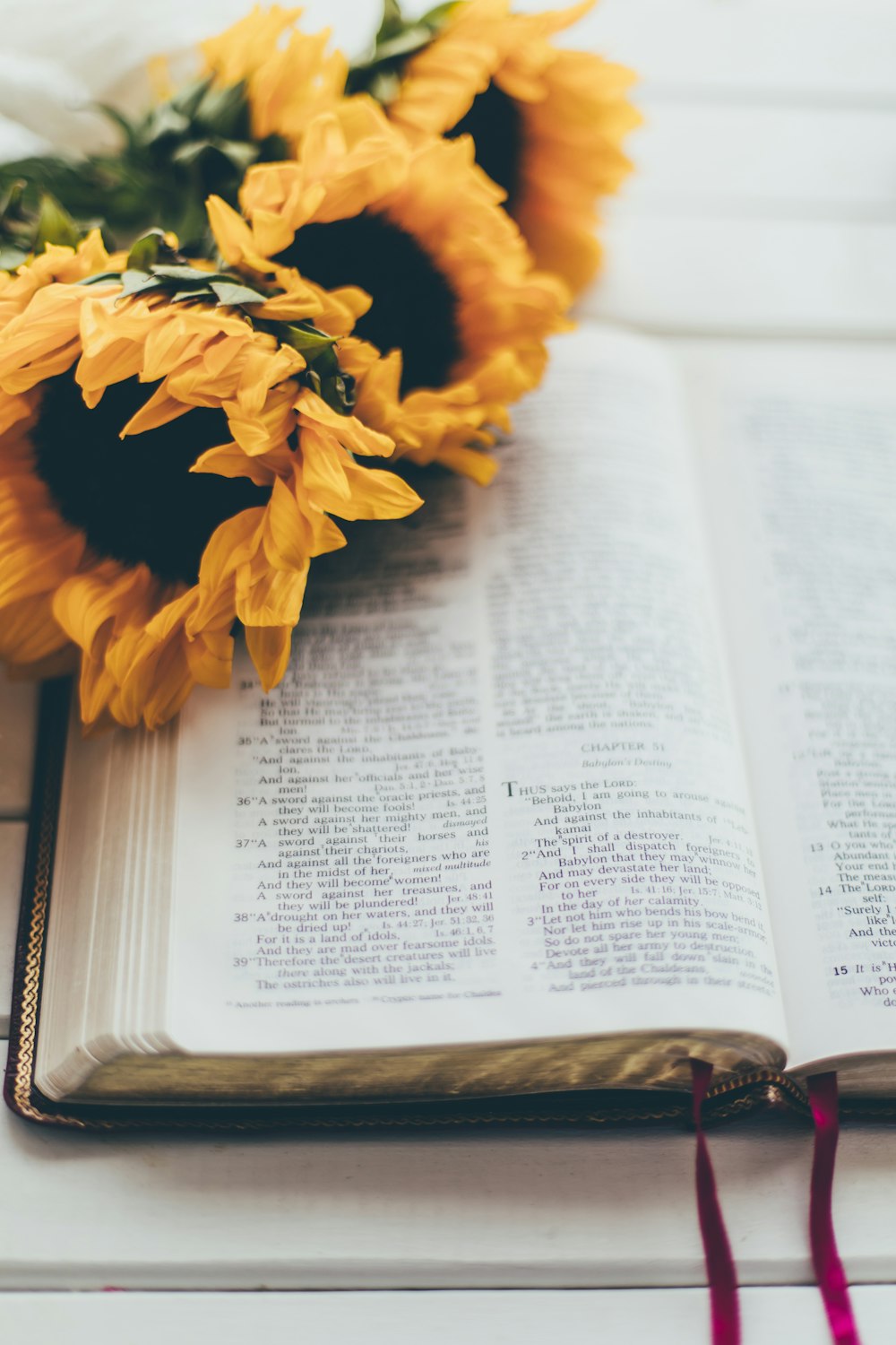 yellow flower on book page