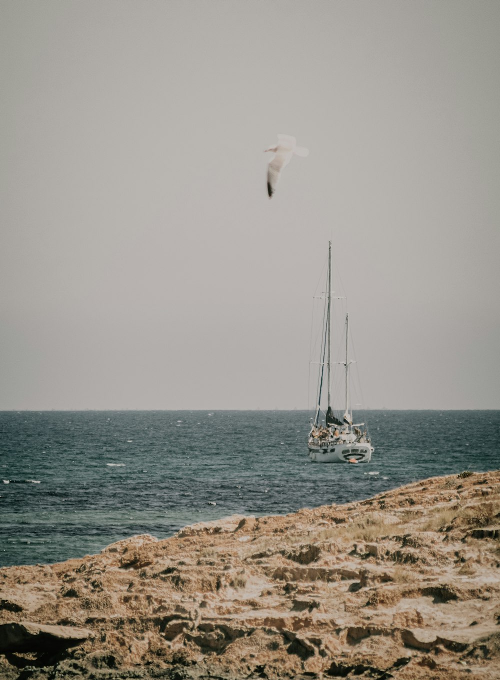 white sail boat on sea during daytime