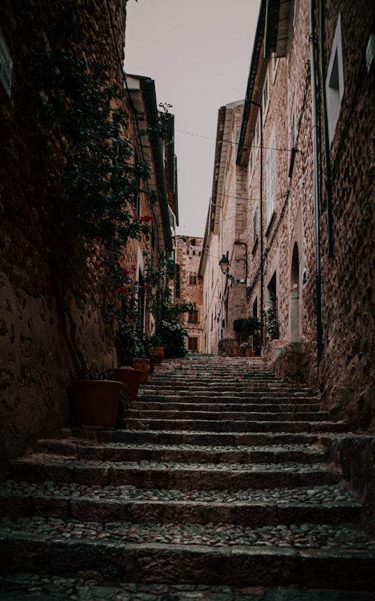 brown wooden chairs on gray concrete stairs in Palma Spain