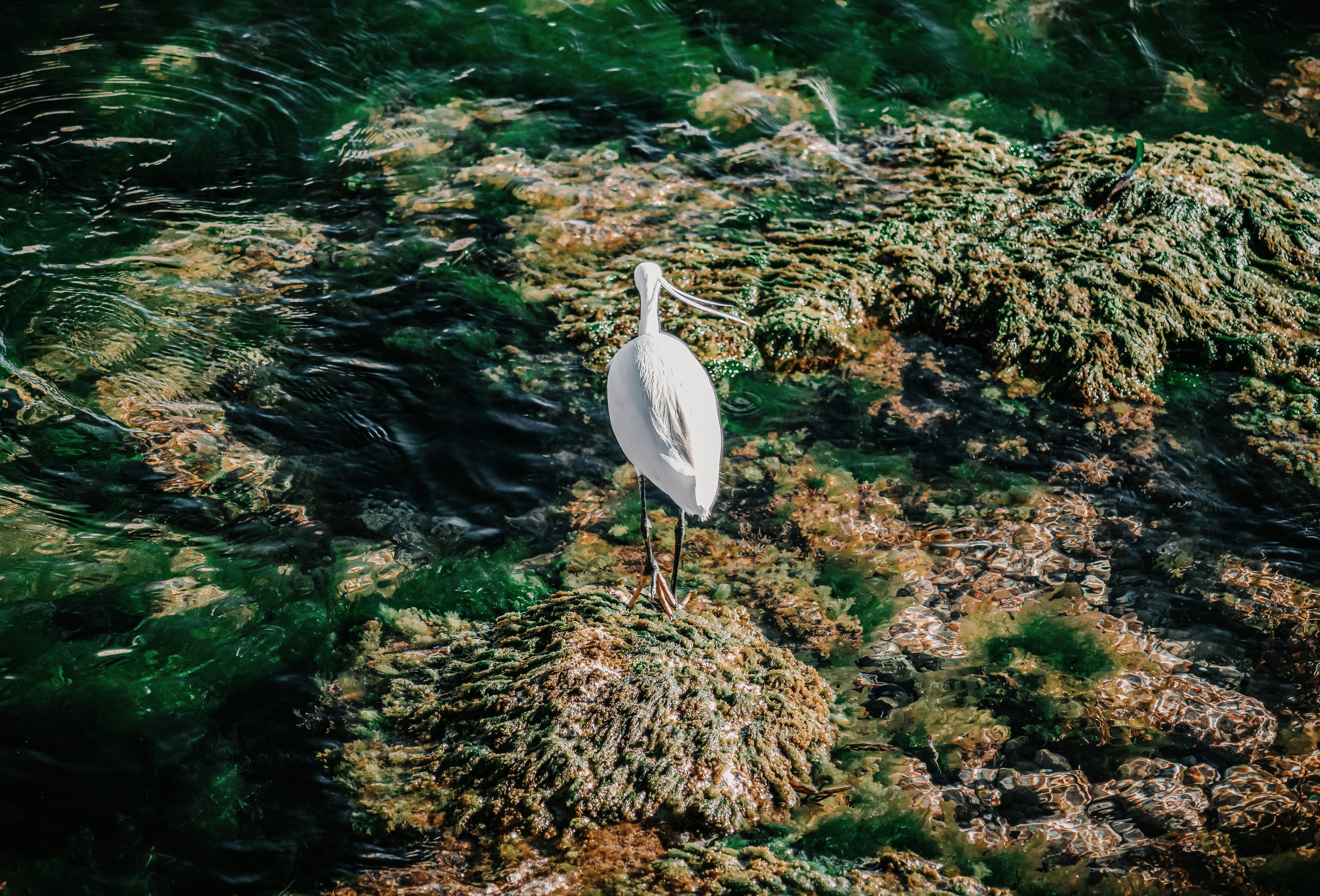 Photo by framesforyourheart