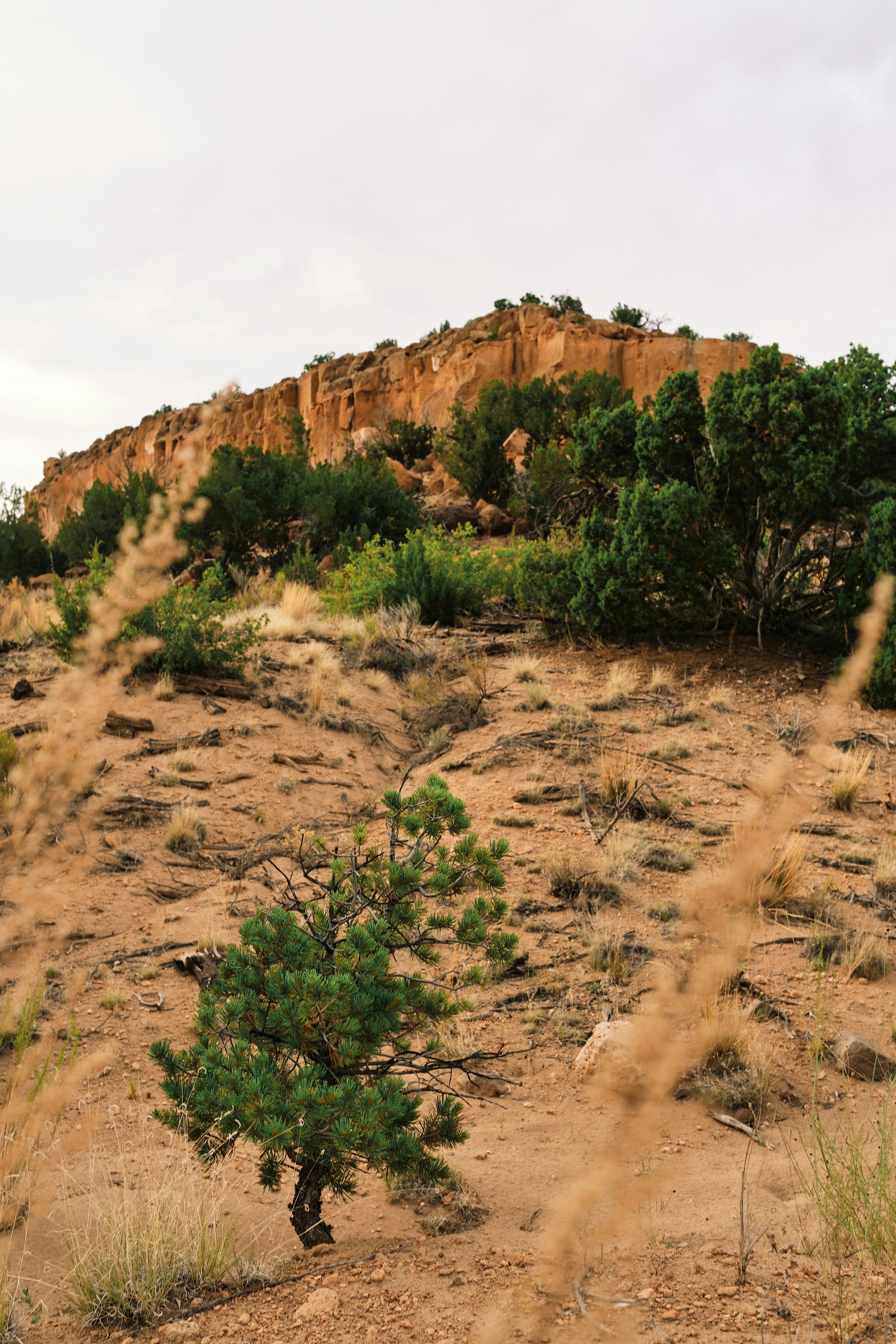 Photo by hillcountry_camera