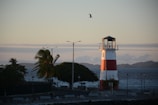 A red and white lighthouse stands near the shoreline, accompanied by gently swaying palm trees under a calm sky. The sea extends into the distance with a single bird soaring high above.
