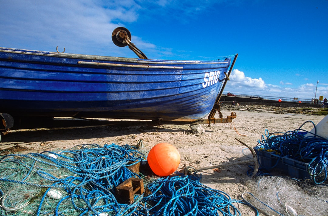blue and white boat on beach shore during daytime