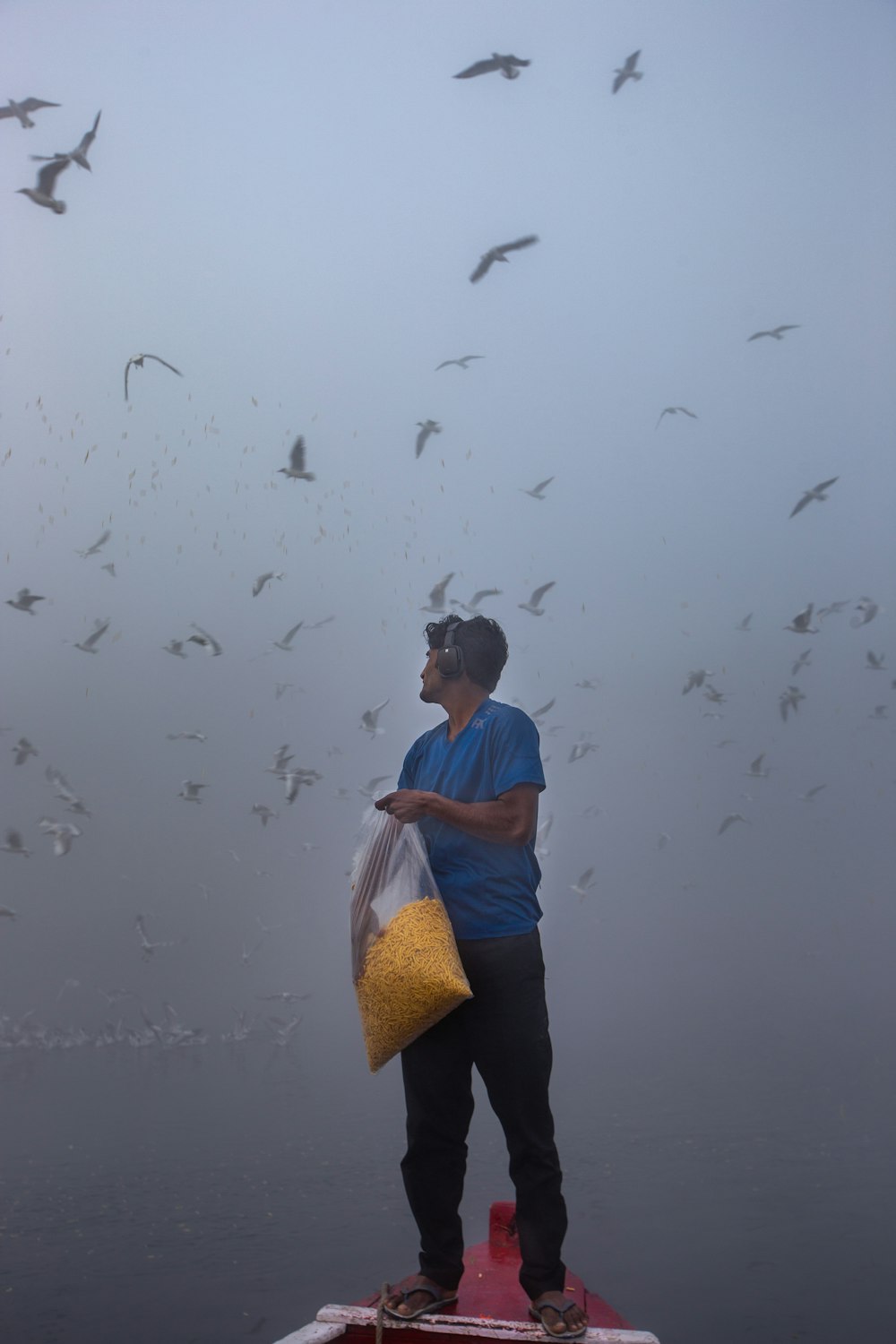 woman in blue shirt and black pants standing on water with birds