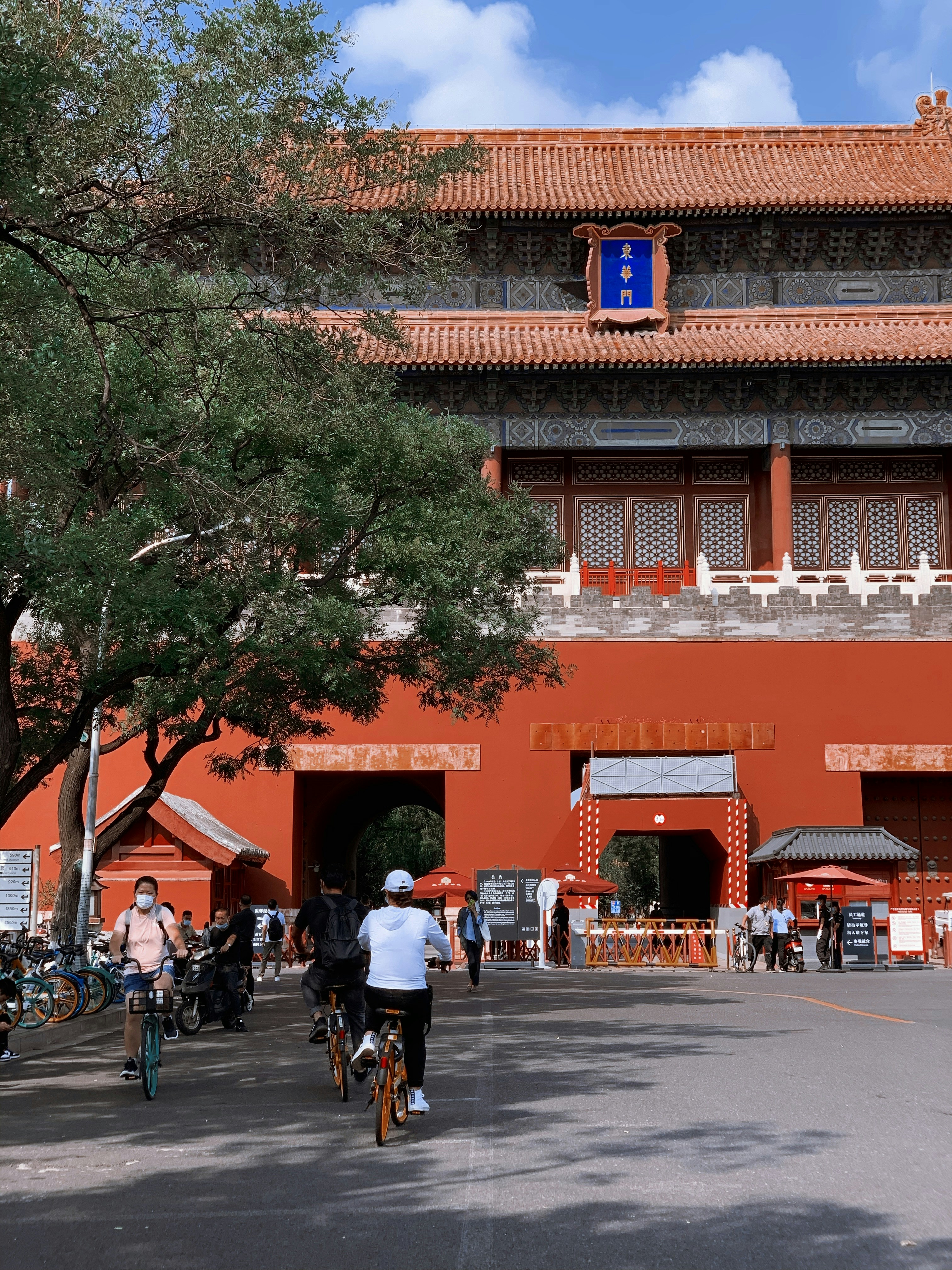 3.​ 鍼灸院が明かす！美容鍼による驚きの効果と持続性