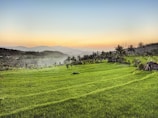 Lush green rice terraces in Bali under soft morning light.