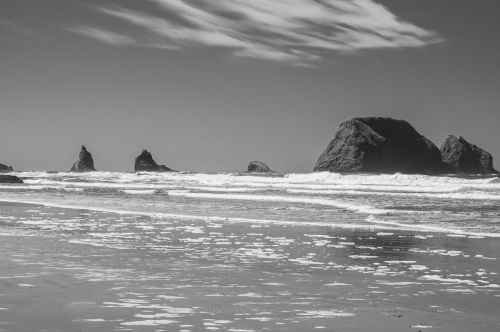 foto in scala di grigi della formazione rocciosa sul mare