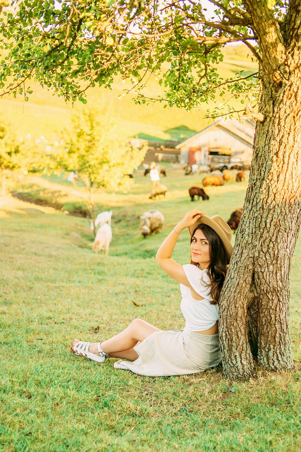 woman in white dress lying on green grass field beside brown and white short coated small
