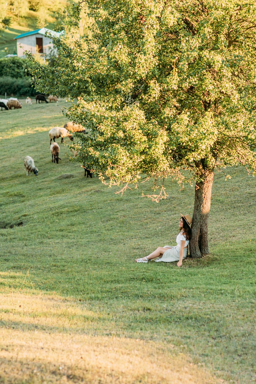 昼間、緑の芝生に横たわる白いタンクトップの女性