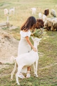 Cynthia McBride interacting with her trained pet goat.