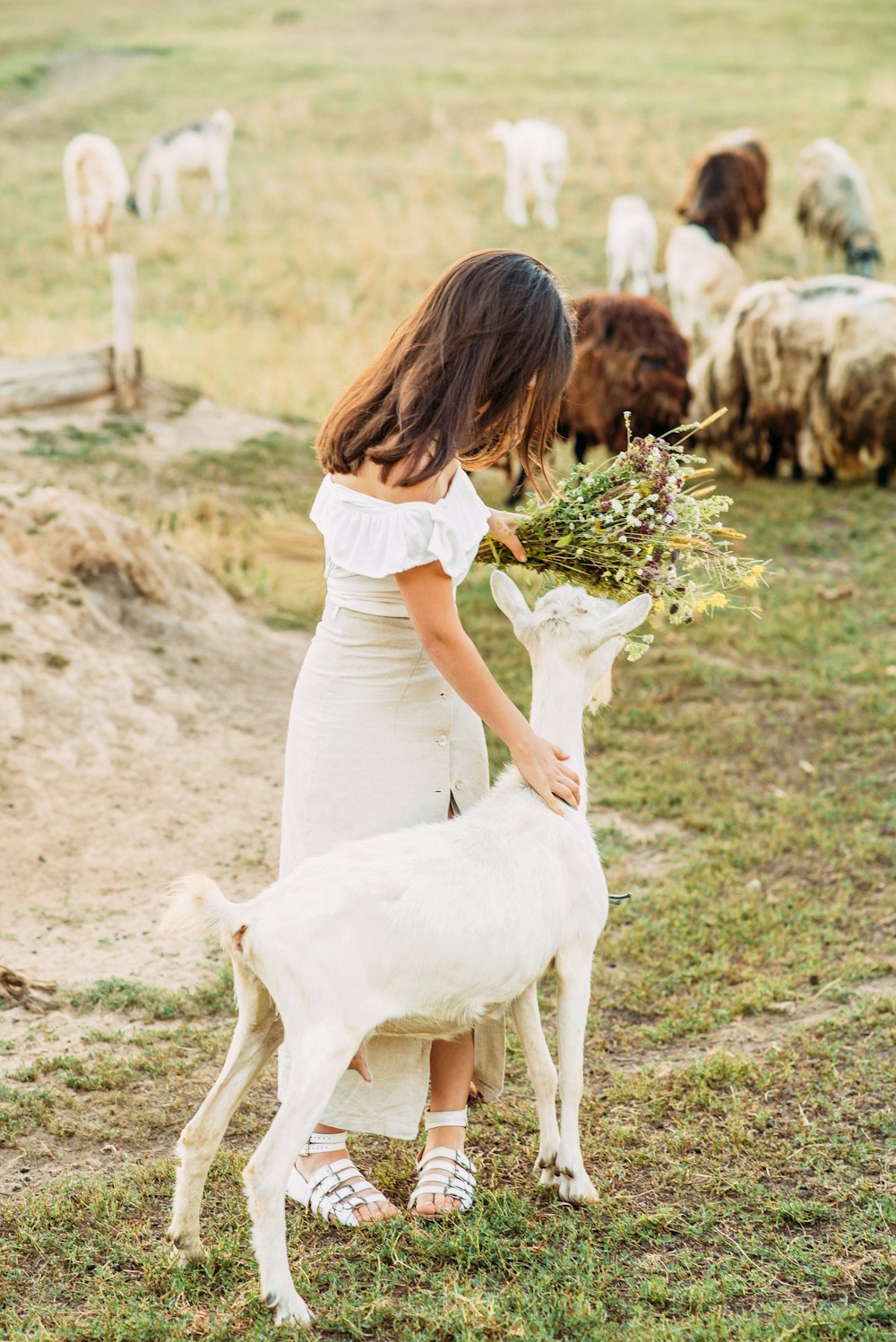 woman in white dress holding white horse during daytime