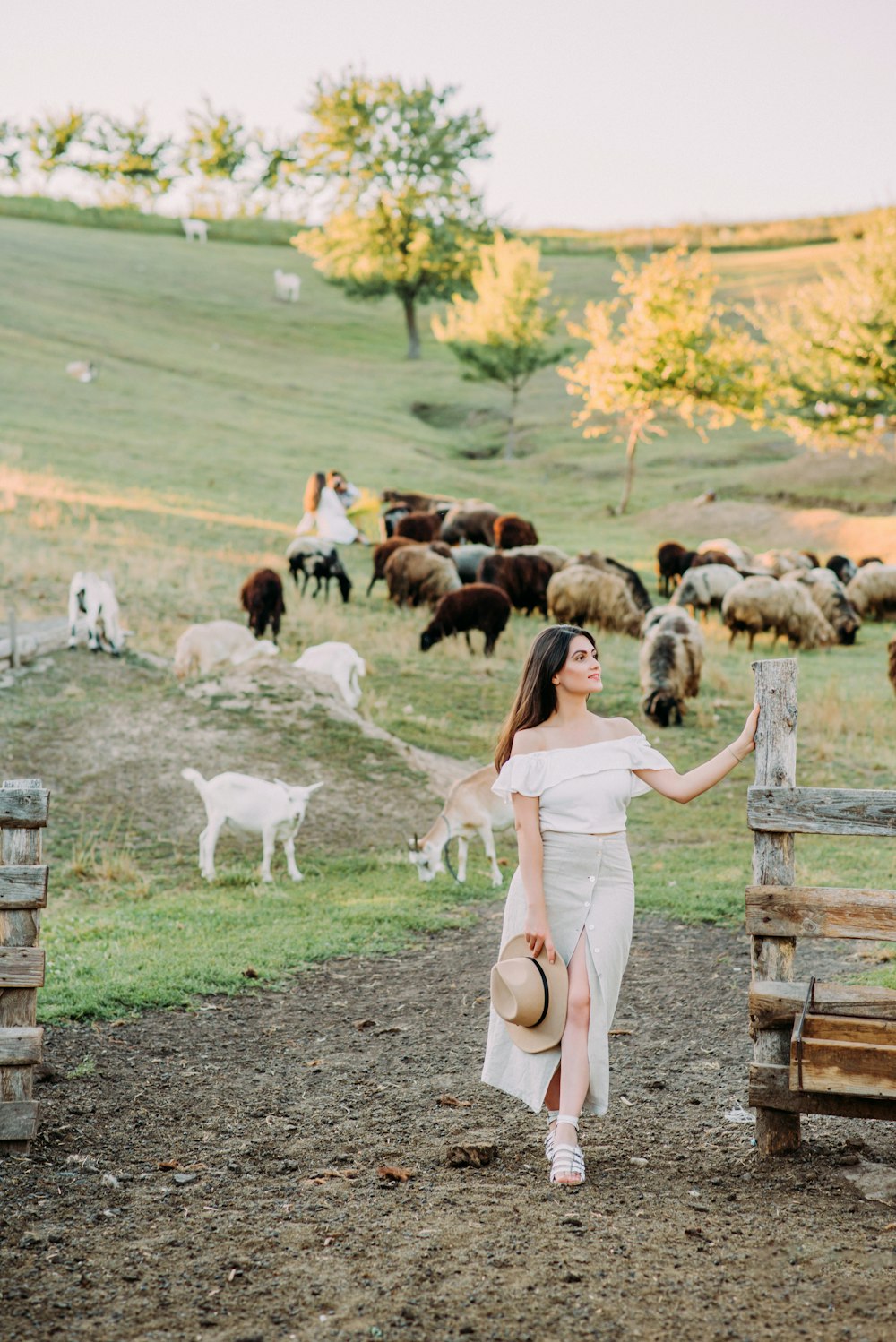 woman in white dress standing beside white goat during daytime
