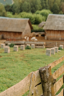 A rustic scene featuring a wooden fence in the foreground with weathered wood and nails. In the background, there are two wooden barns with corrugated metal roofs and a pastoral setting. Several farm animals, resembling goats, are seen in the barnyard, surrounded by greenery.