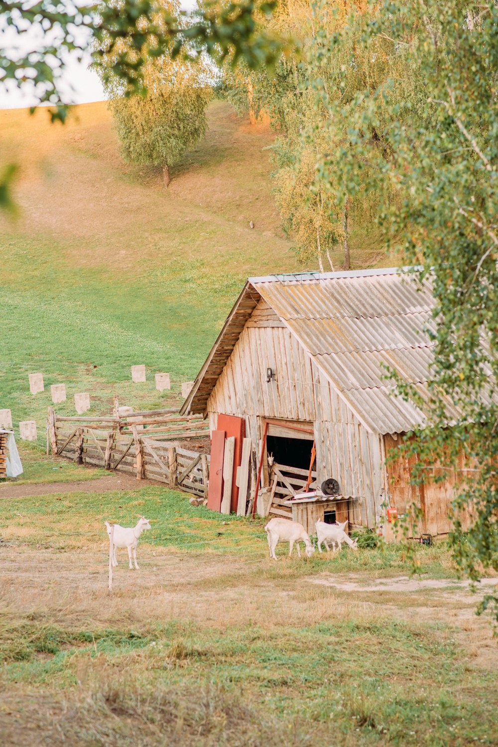brown wooden barn near green grass field during daytime