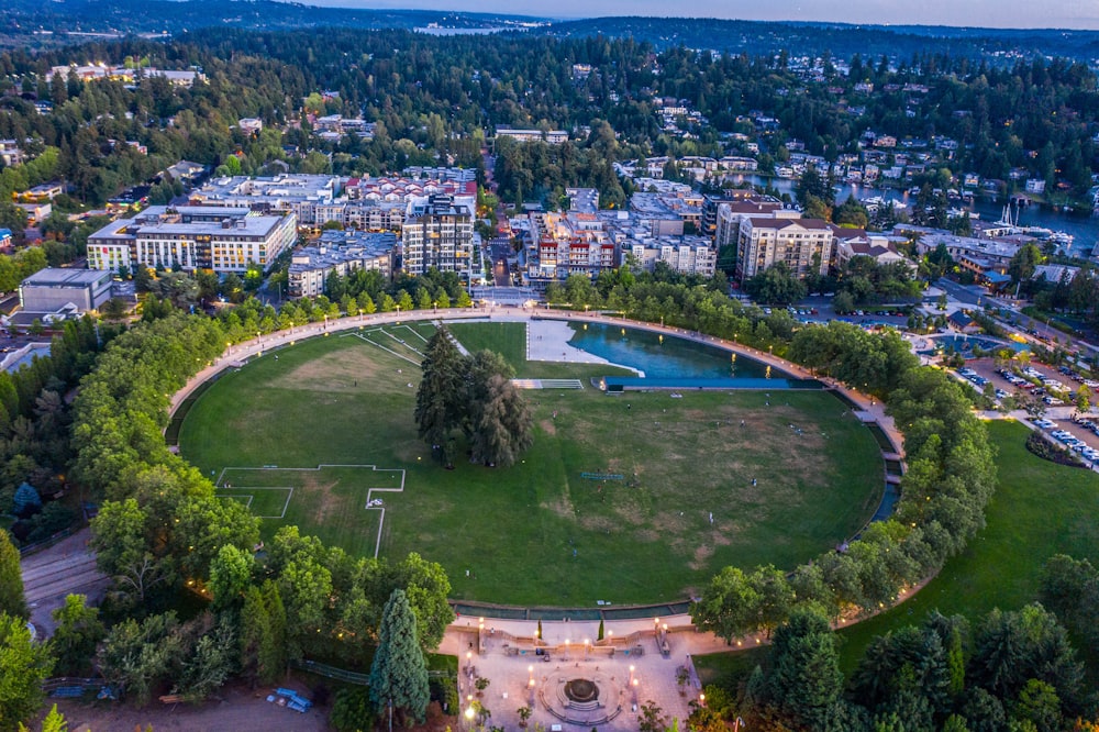 aerial view of green grass field and trees during daytime