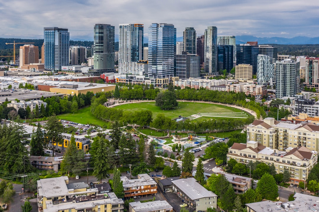 high rise buildings near green trees and road during daytime