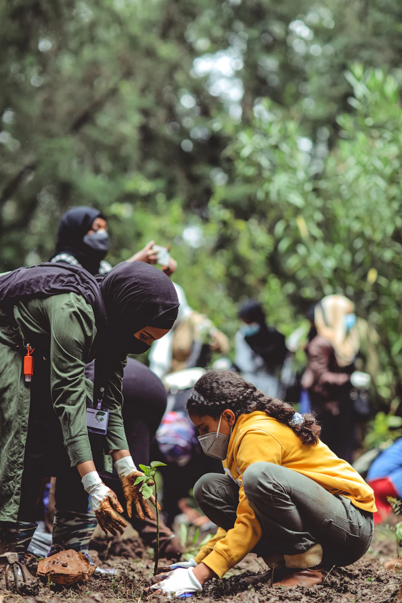 Jornada de reforestación comunitaria