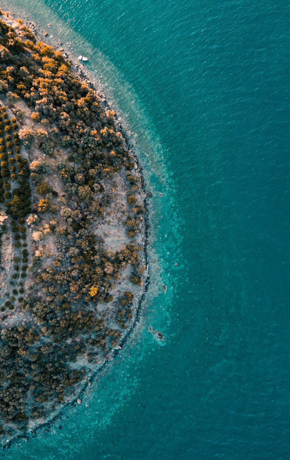 aerial view of body of water during daytime