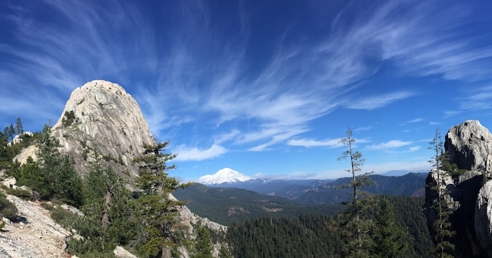 green trees on mountain under blue sky during daytime