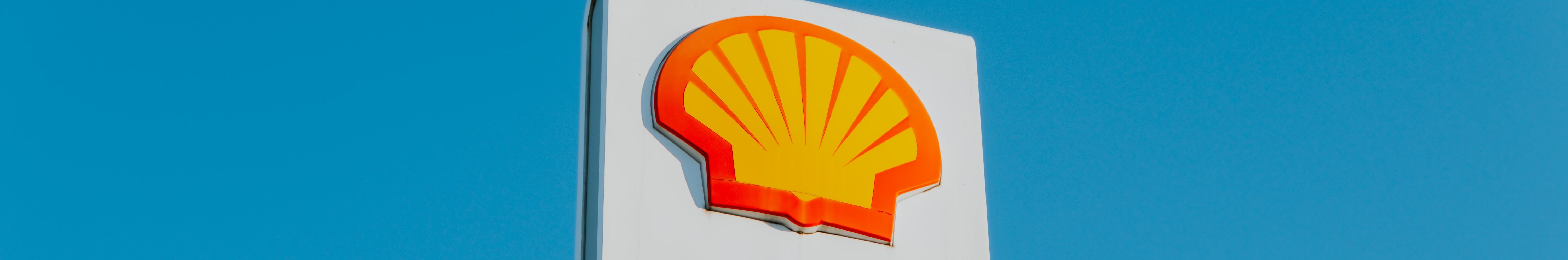 Shell PLC reported 8 fatalities and 133 incidents in 2021