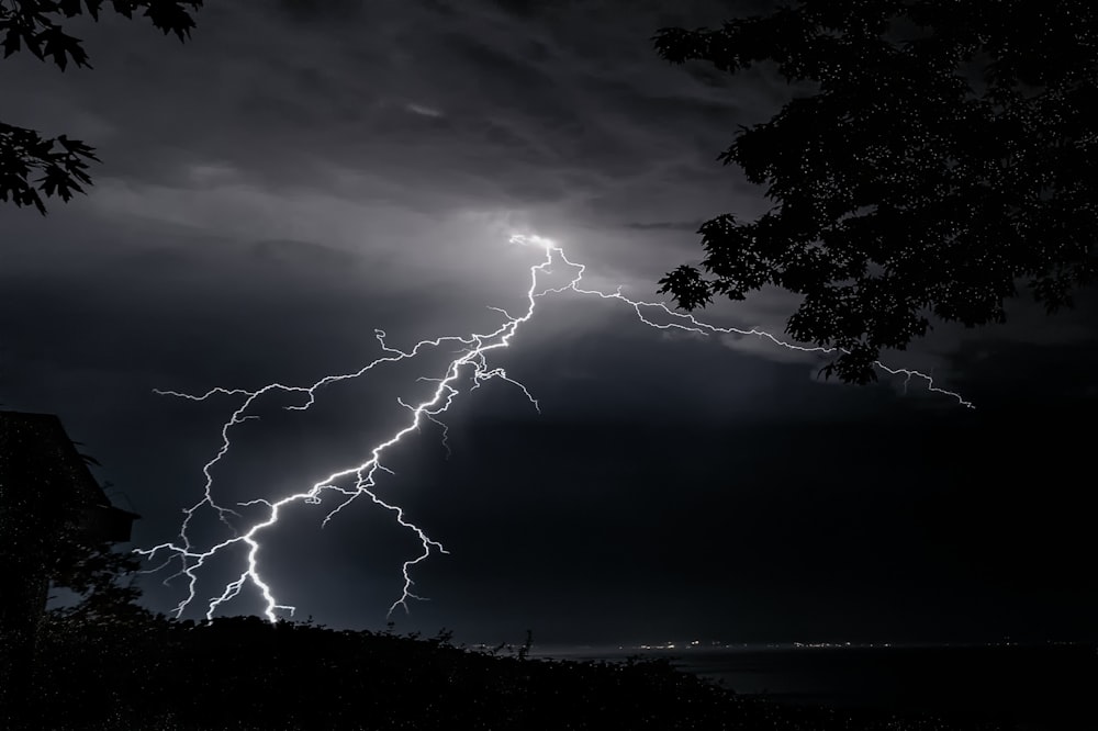 lightning strike on trees during night time