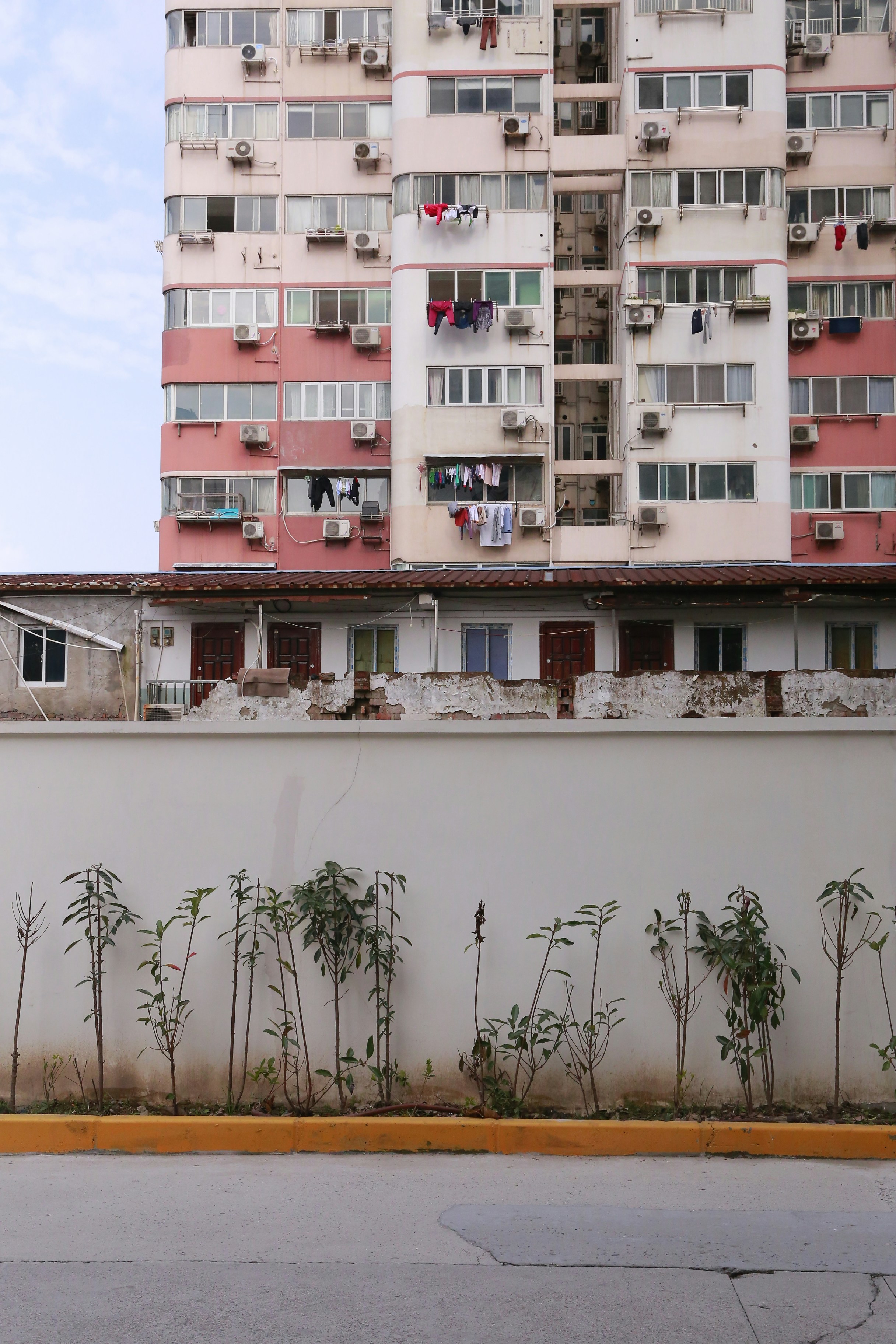 Photo by 211525clara