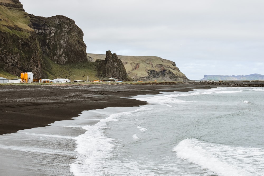 people on beach during daytime