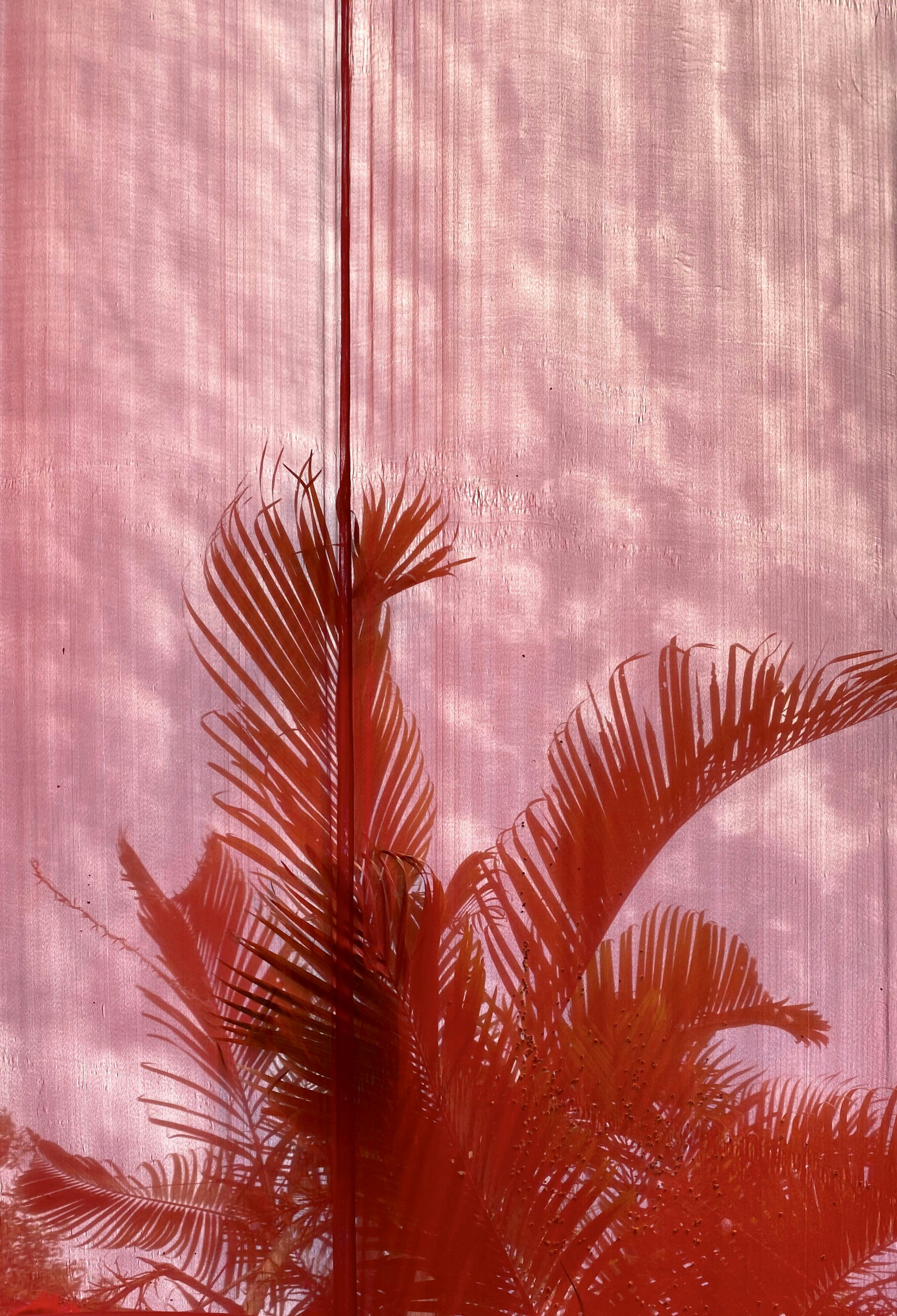 Photo by urveshmavani