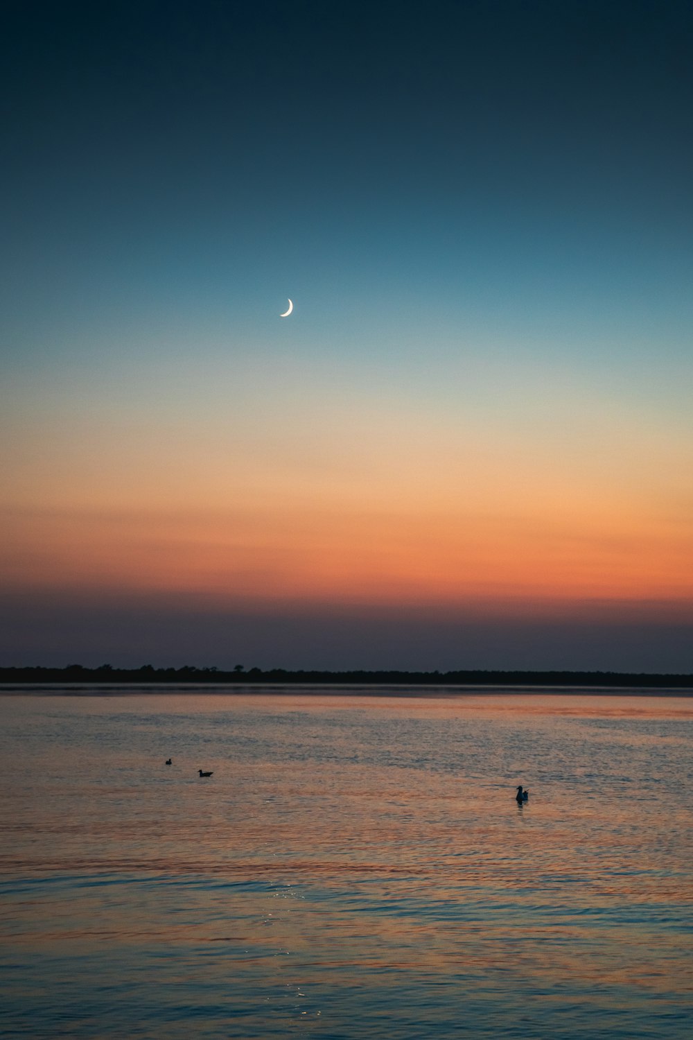 silhouette of people on beach during sunset