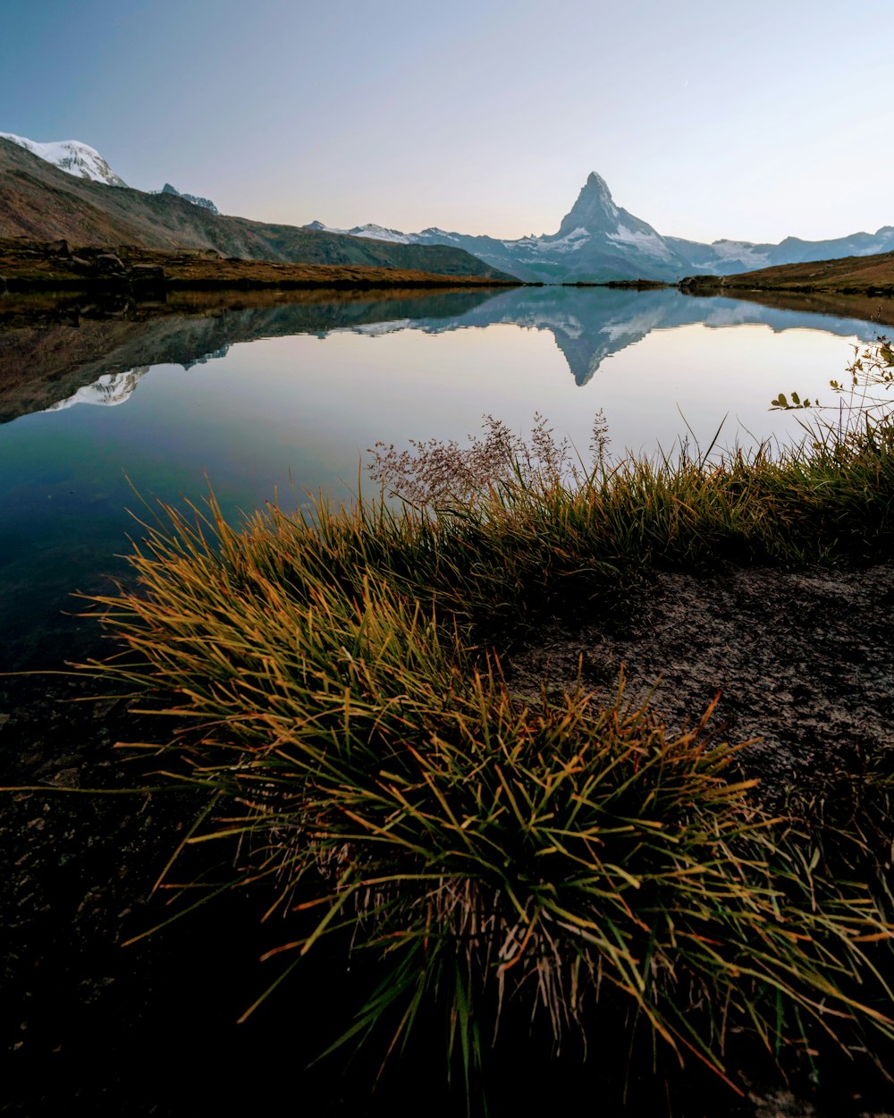 green grass near lake during daytime