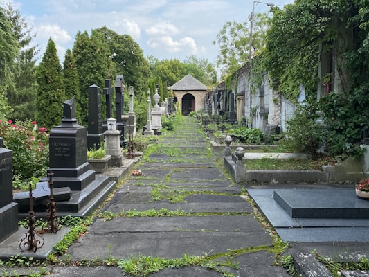 A serene cemetery path lined with various gravestones on both sides, leading towards a small chapel in the distance. The pathway is covered with stone slabs and patches of grass, surrounded by lush greenery and overgrown vegetation. Tall, mature trees create a peaceful canopy over parts of the scene.