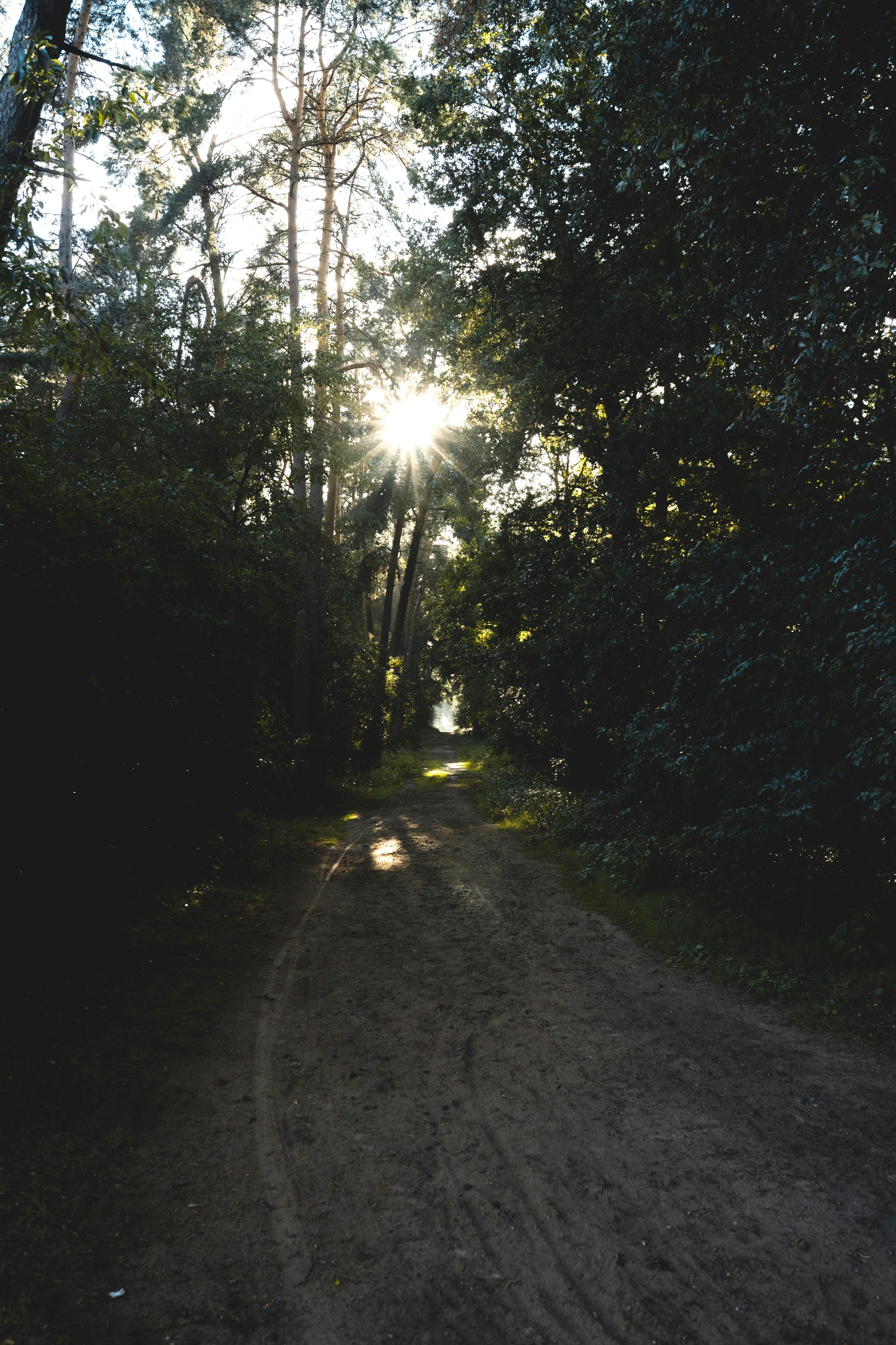 Photo by jakobustrop