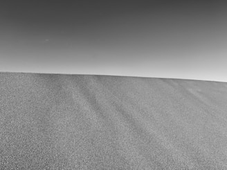 grayscale photo of desert under gray sky