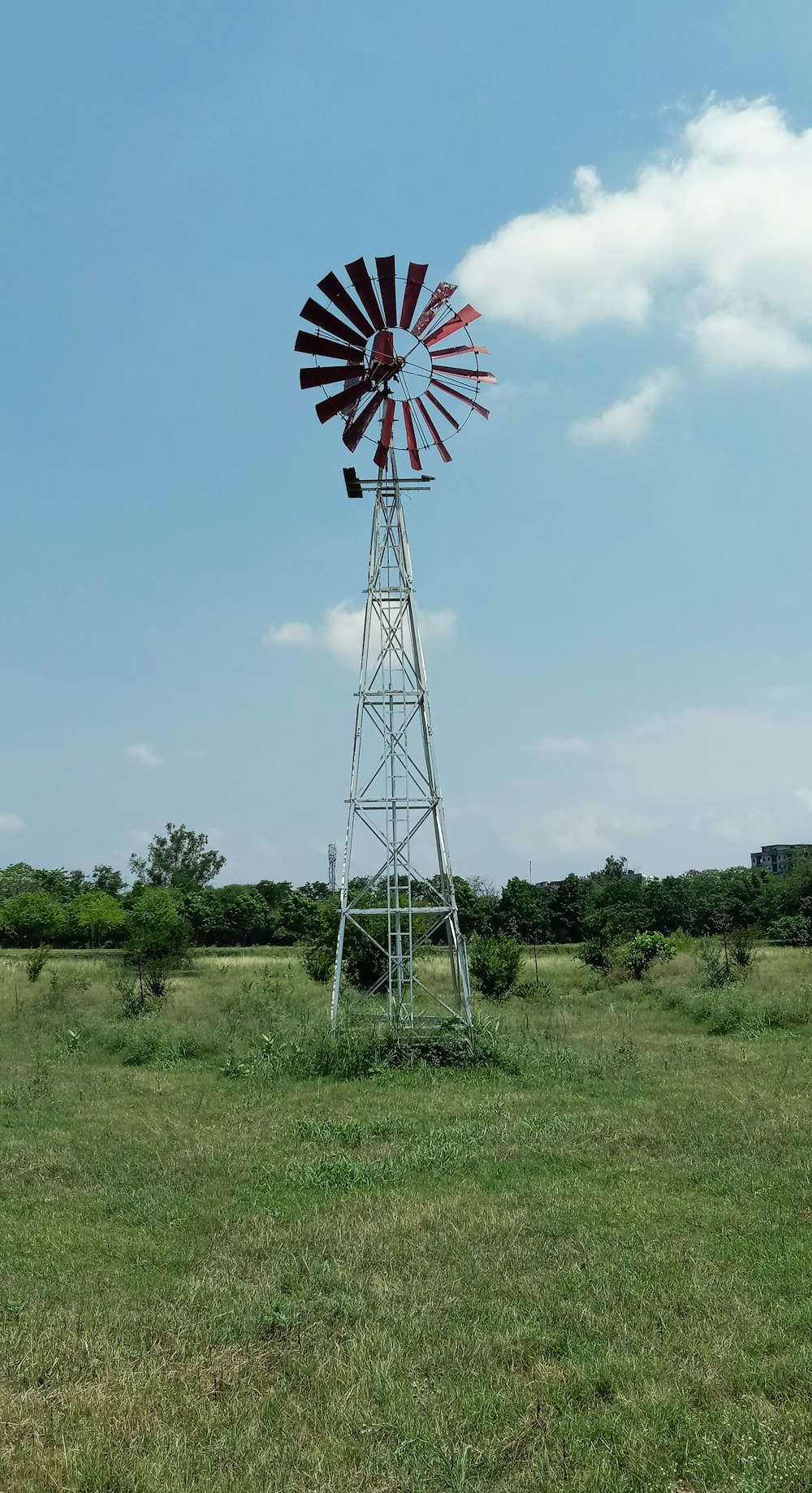 red and white windmill on green grass field under blue sky during daytime
