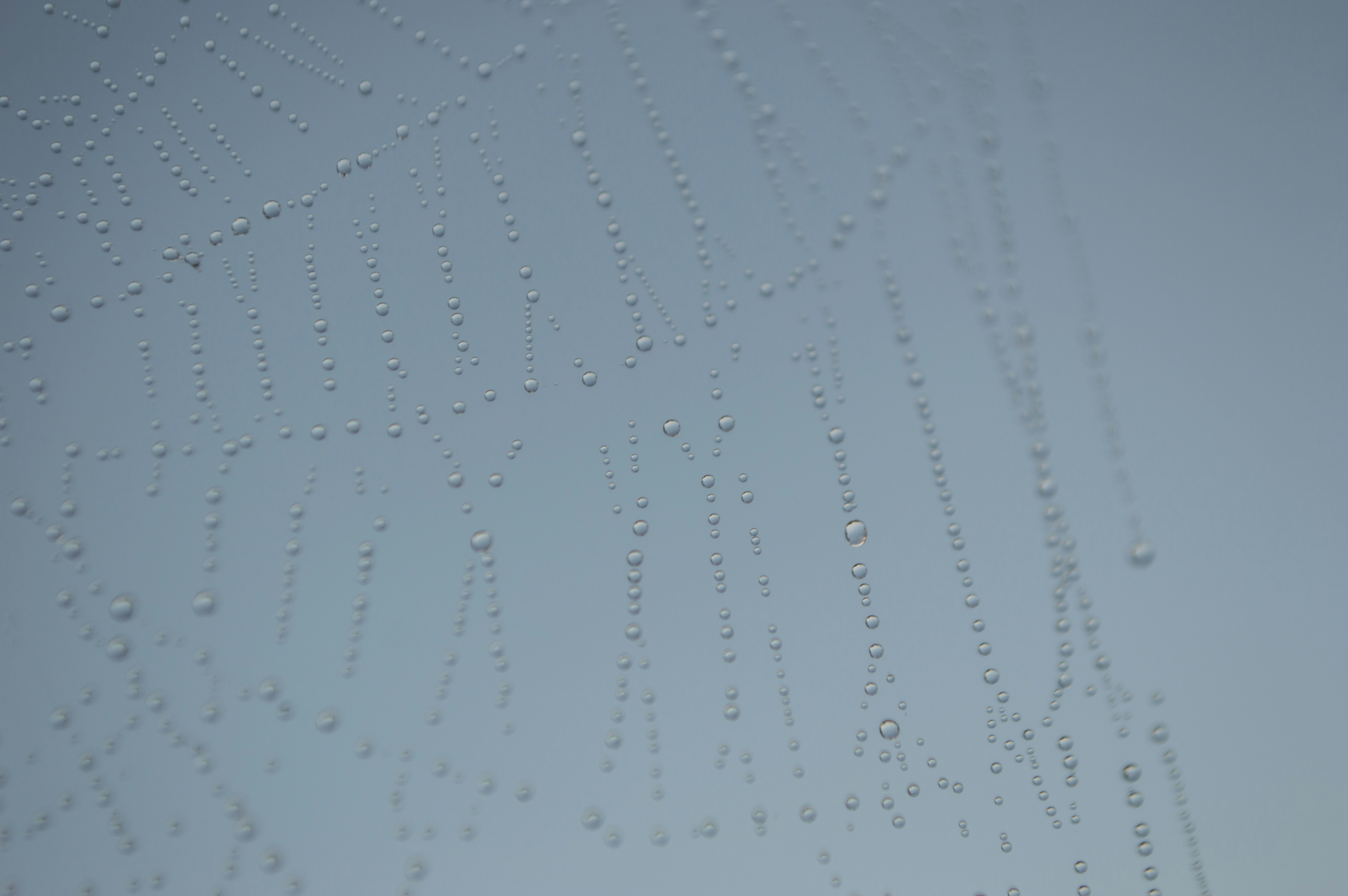 white and black abstract painting