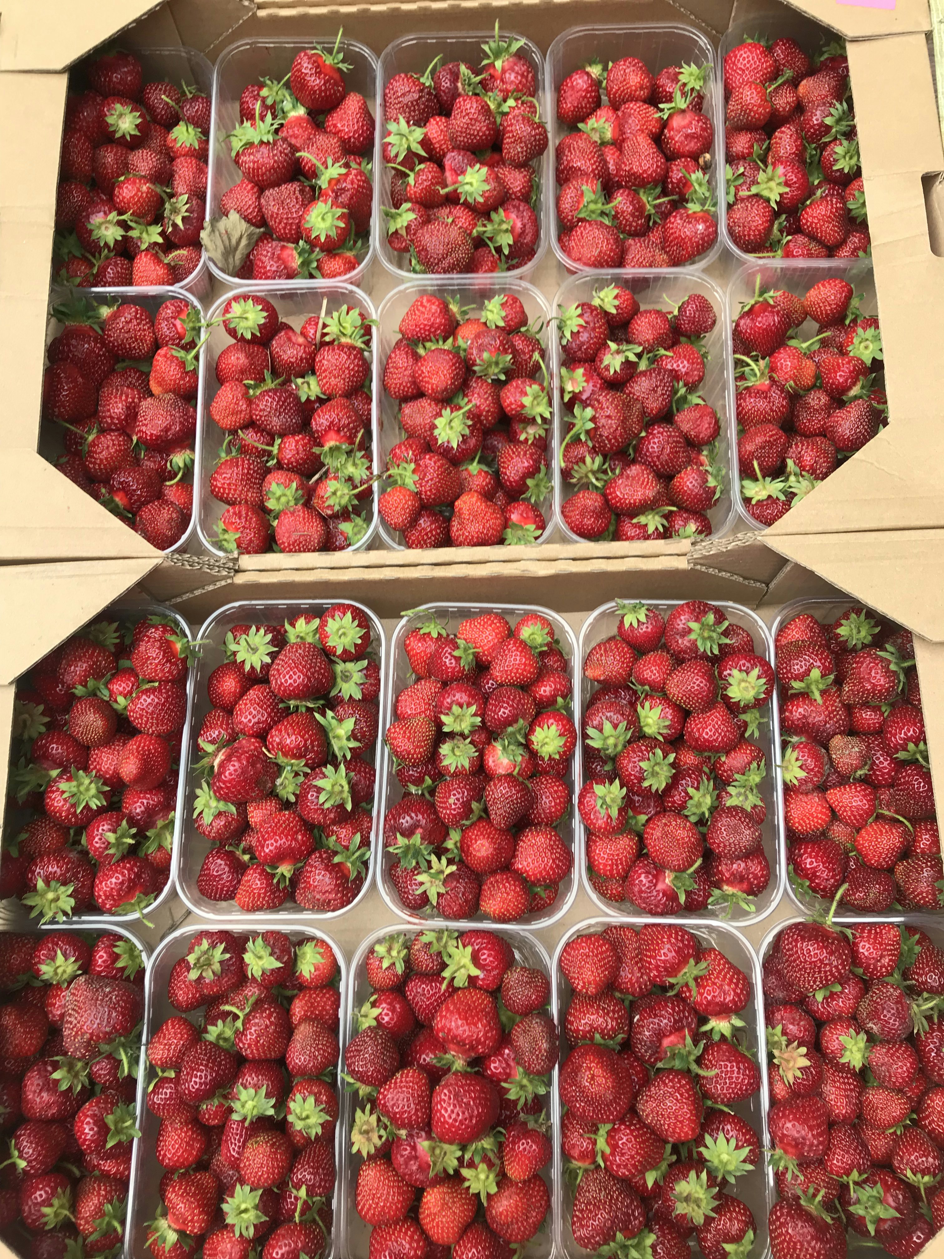 red strawberries in brown cardboard box