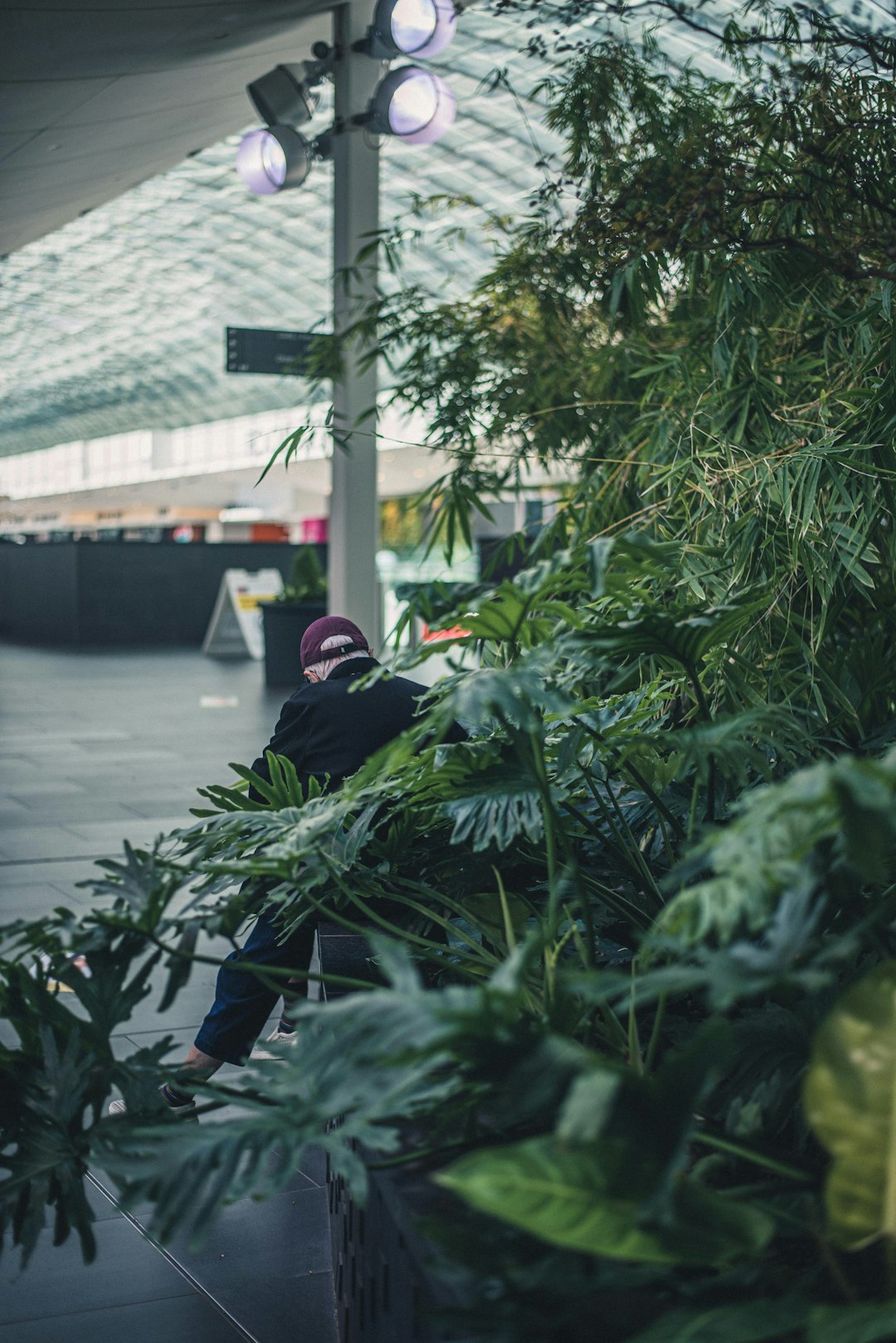person in black jacket sitting on green plant