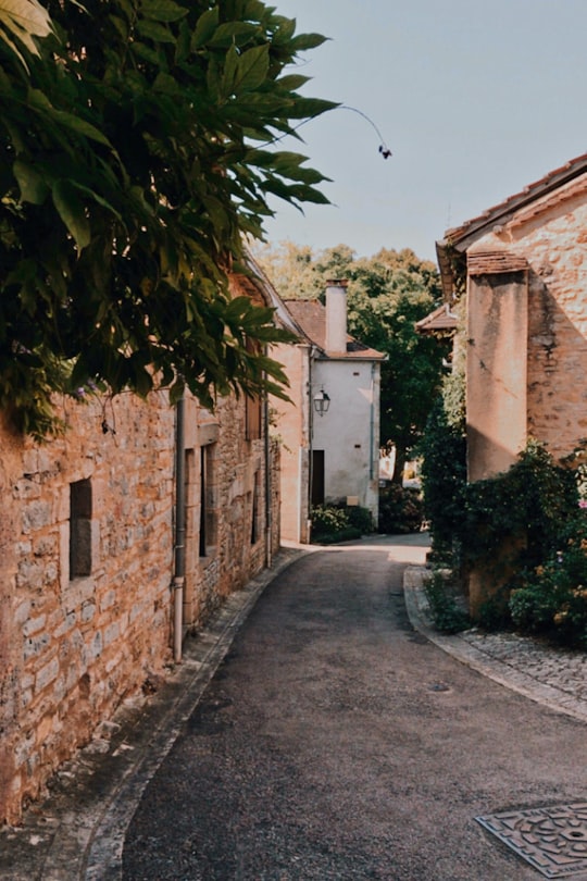 green tree beside brown brick building in Lot France