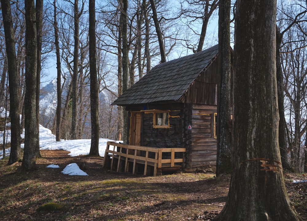 brown wooden house near trees during daytime