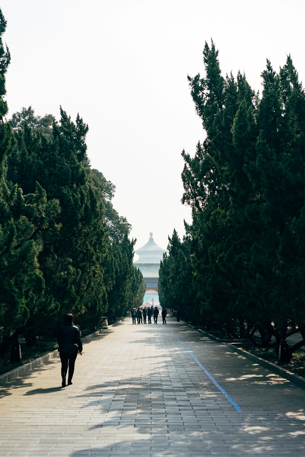 people walking on sidewalk during daytime