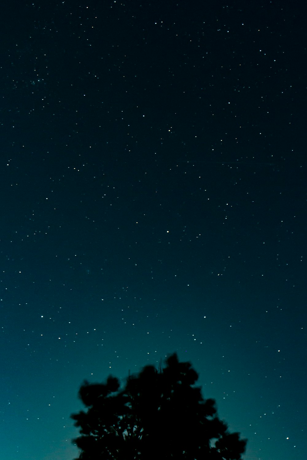 blue sky with stars during night time