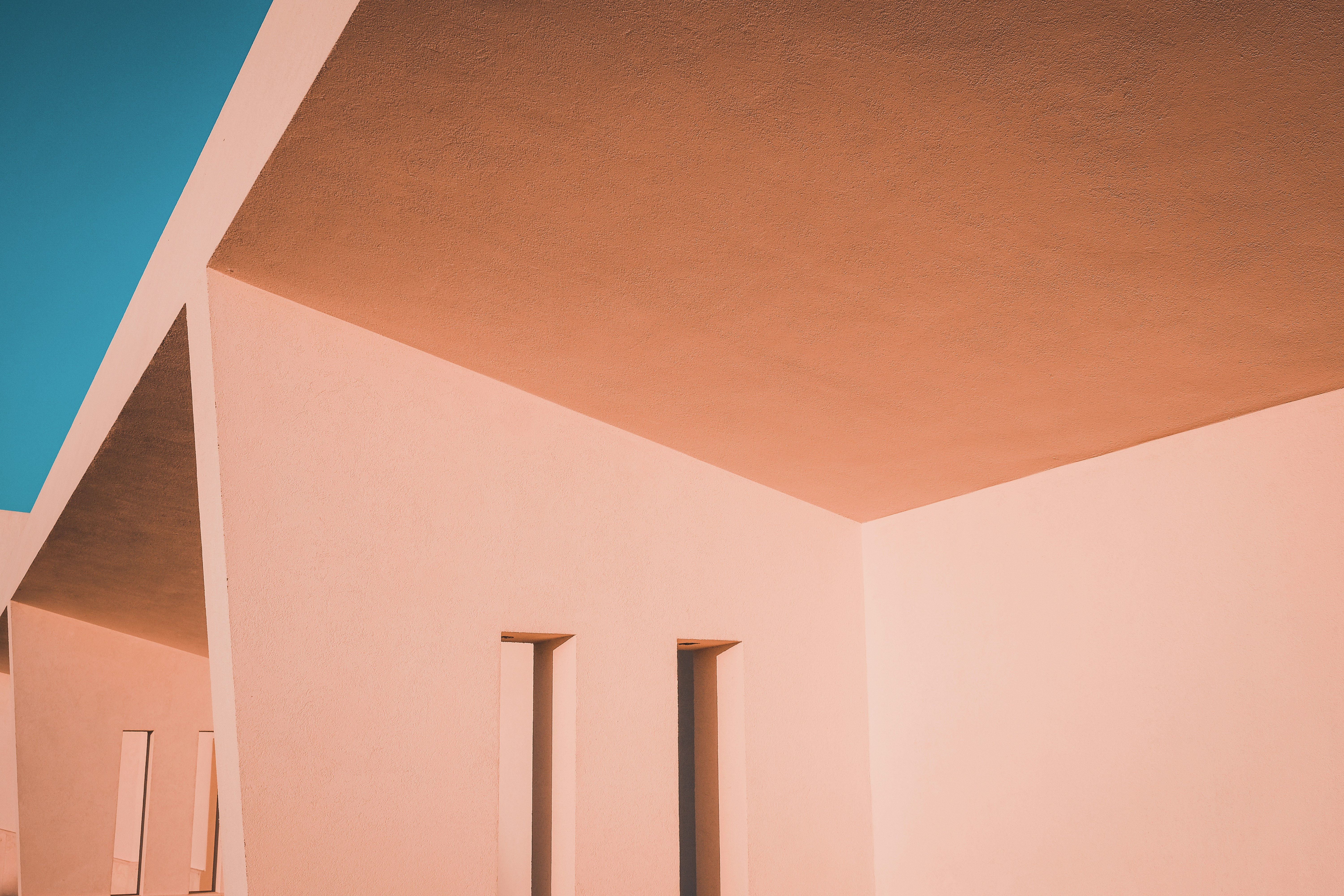 Photo by sammoghadam