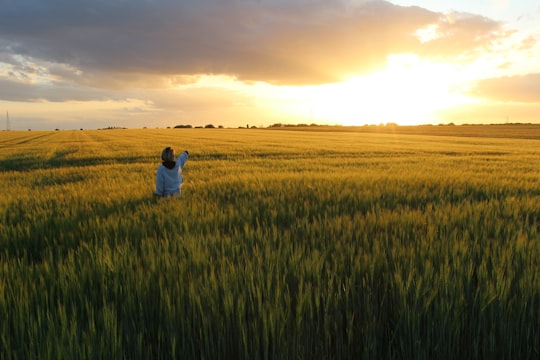 woman in white long sleeve shirt standing on green grass field during daytime in Loiret France